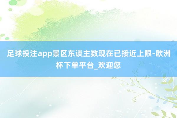 足球投注app景区东谈主数现在已接近上限-欧洲杯下单平台_欢迎您