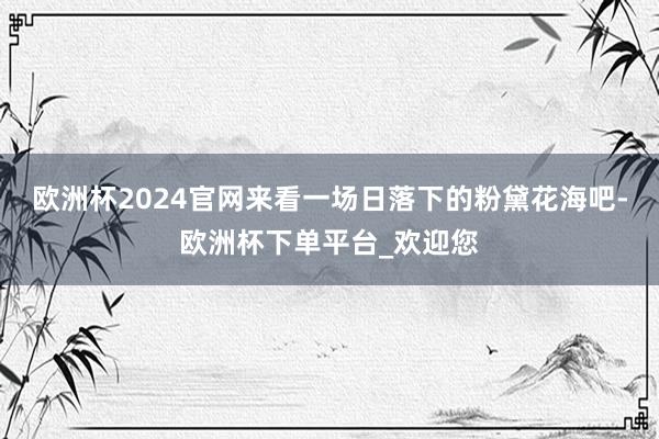 欧洲杯2024官网来看一场日落下的粉黛花海吧-欧洲杯下单平台_欢迎您