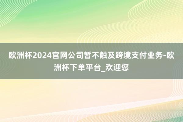 欧洲杯2024官网公司暂不触及跨境支付业务-欧洲杯下单平台_欢迎您