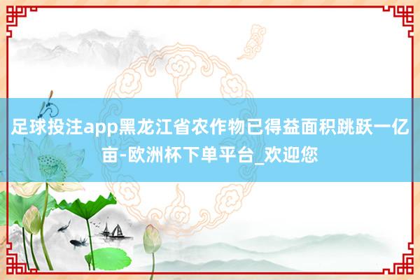 足球投注app黑龙江省农作物已得益面积跳跃一亿亩-欧洲杯下单平台_欢迎您