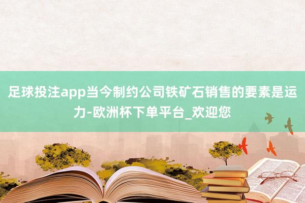 足球投注app当今制约公司铁矿石销售的要素是运力-欧洲杯下单平台_欢迎您