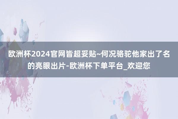 欧洲杯2024官网皆超妥贴~何况骆驼他家出了名的亮眼出片-欧洲杯下单平台_欢迎您