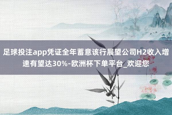 足球投注app凭证全年蓄意该行展望公司H2收入增速有望达30%-欧洲杯下单平台_欢迎您