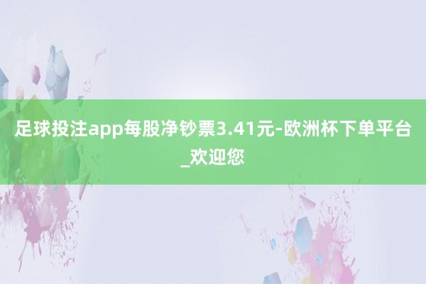 足球投注app每股净钞票3.41元-欧洲杯下单平台_欢迎您